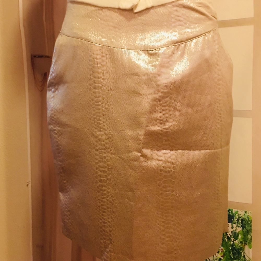 Medium Gold Short Skirt